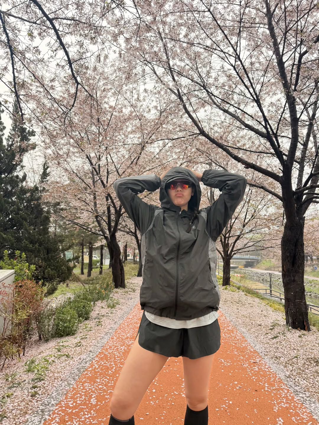 ชมพู่ - อารยา เอ ฮาร์เก็ต