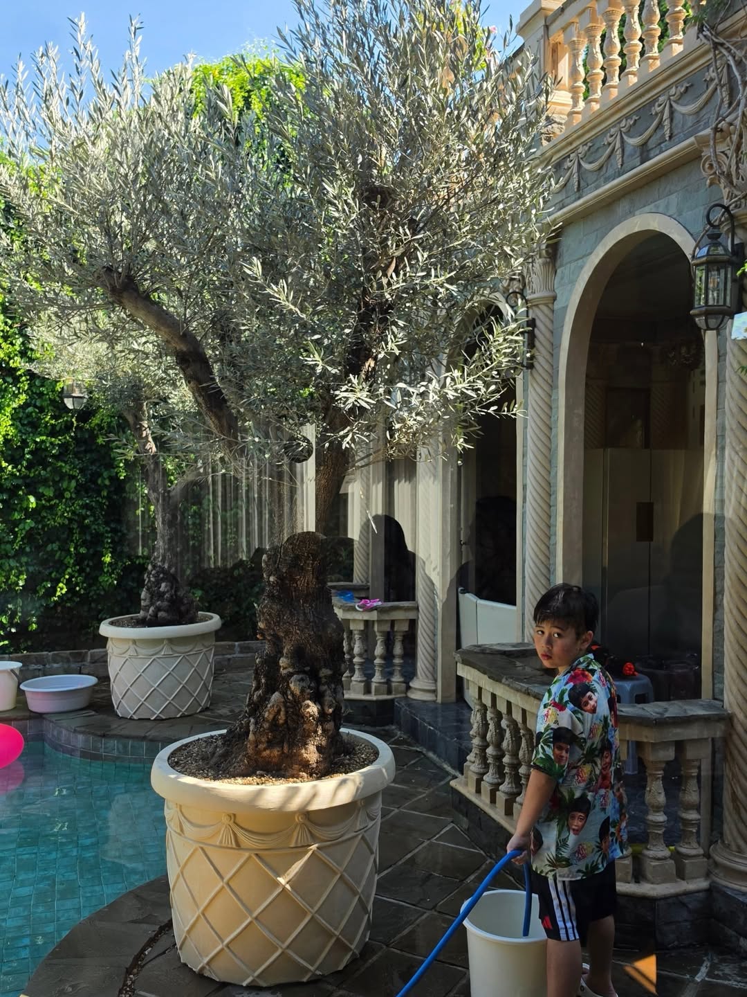 ชมพู่ - อารยา เอ ฮาร์เก็ต