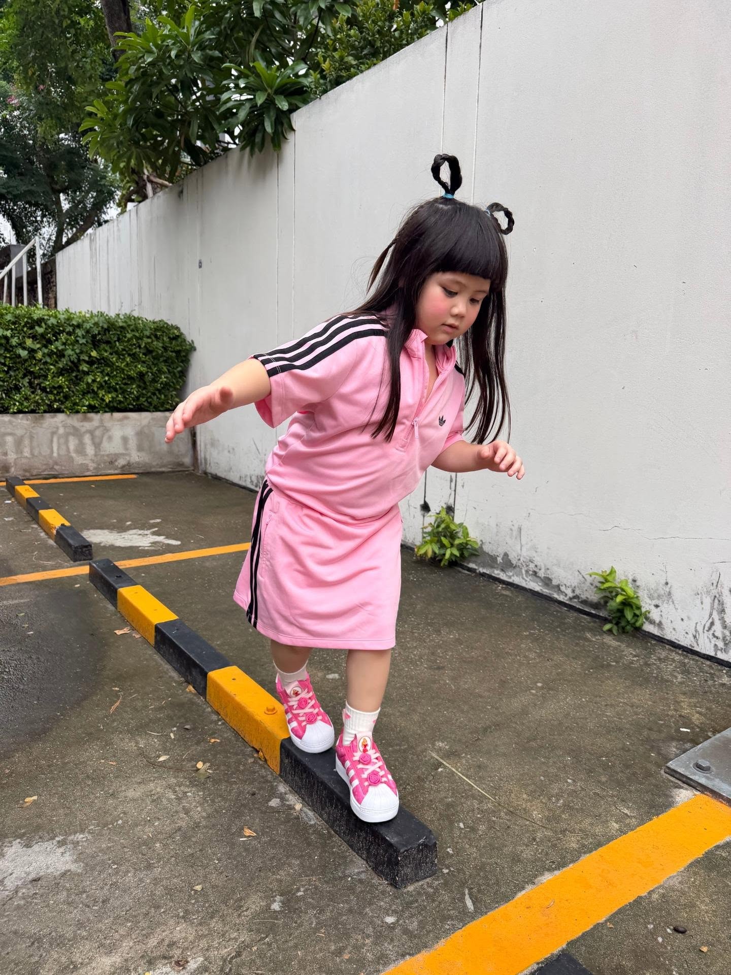 ชมพู่ - อารยา เอ ฮาร์เก็ต