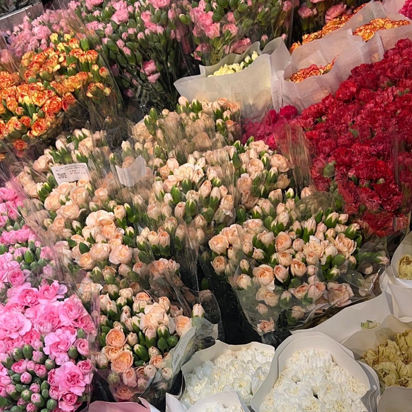 เทอร์โบ - ชนกชนม์ บุญมานะวงศ์