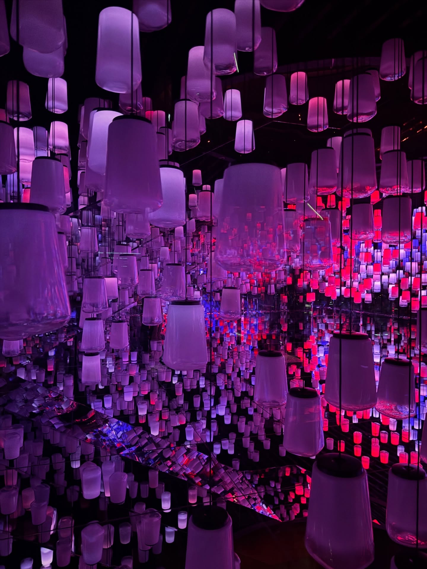 เทอร์โบ - ชนกชนม์ บุญมานะวงศ์