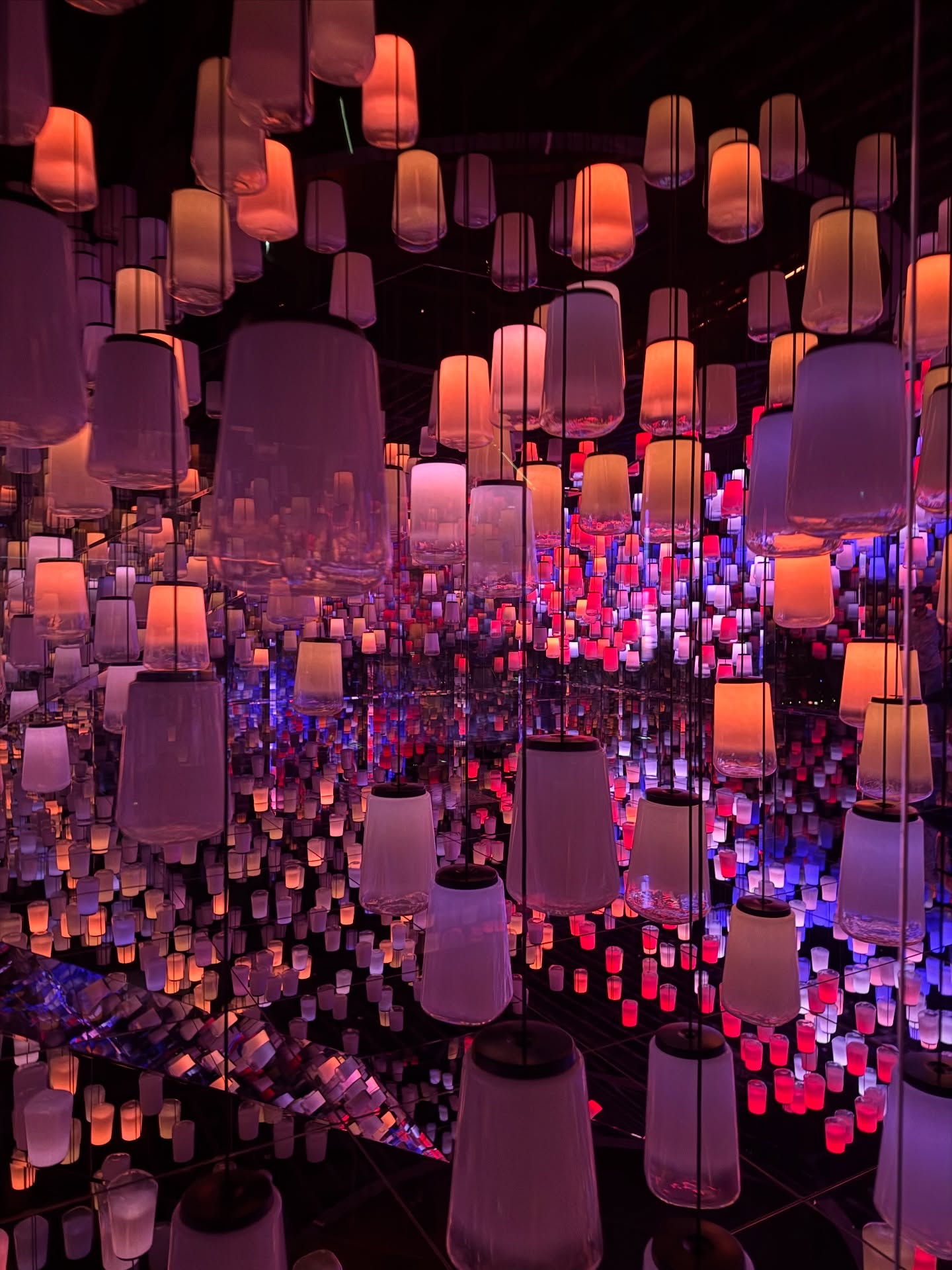 เทอร์โบ - ชนกชนม์ บุญมานะวงศ์