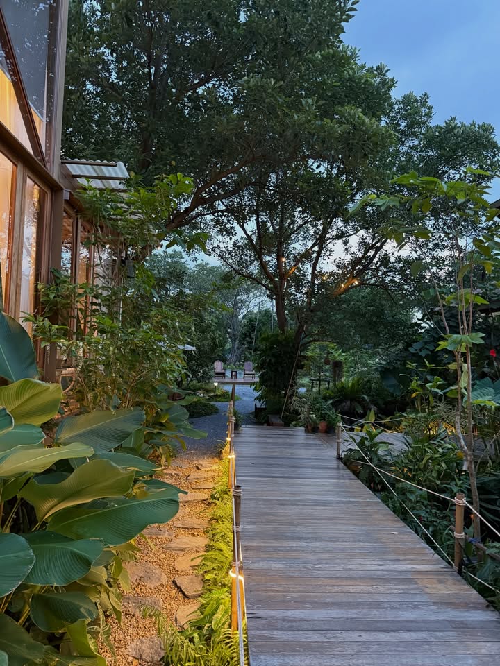 เทอร์โบ - ชนกชนม์ บุญมานะวงศ์