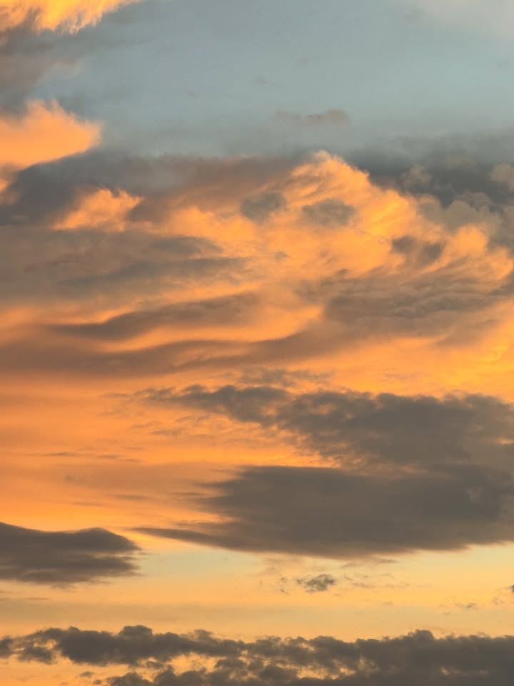 เทอร์โบ - ชนกชนม์ บุญมานะวงศ์