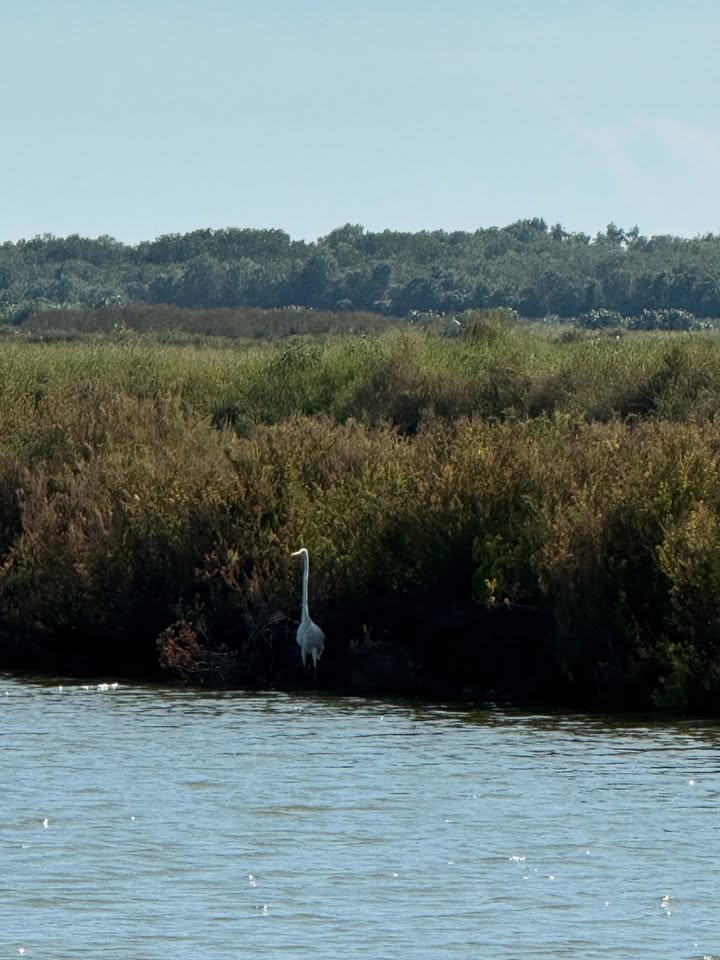 เทอร์โบ - ชนกชนม์ บุญมานะวงศ์