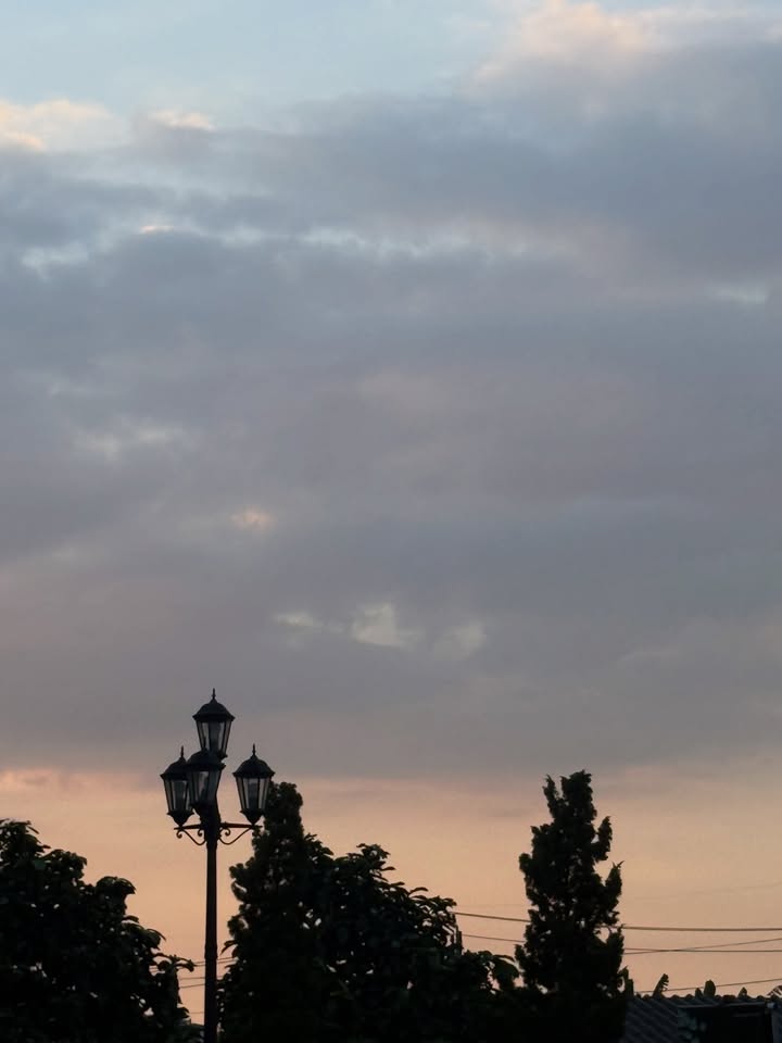 เทอร์โบ - ชนกชนม์ บุญมานะวงศ์