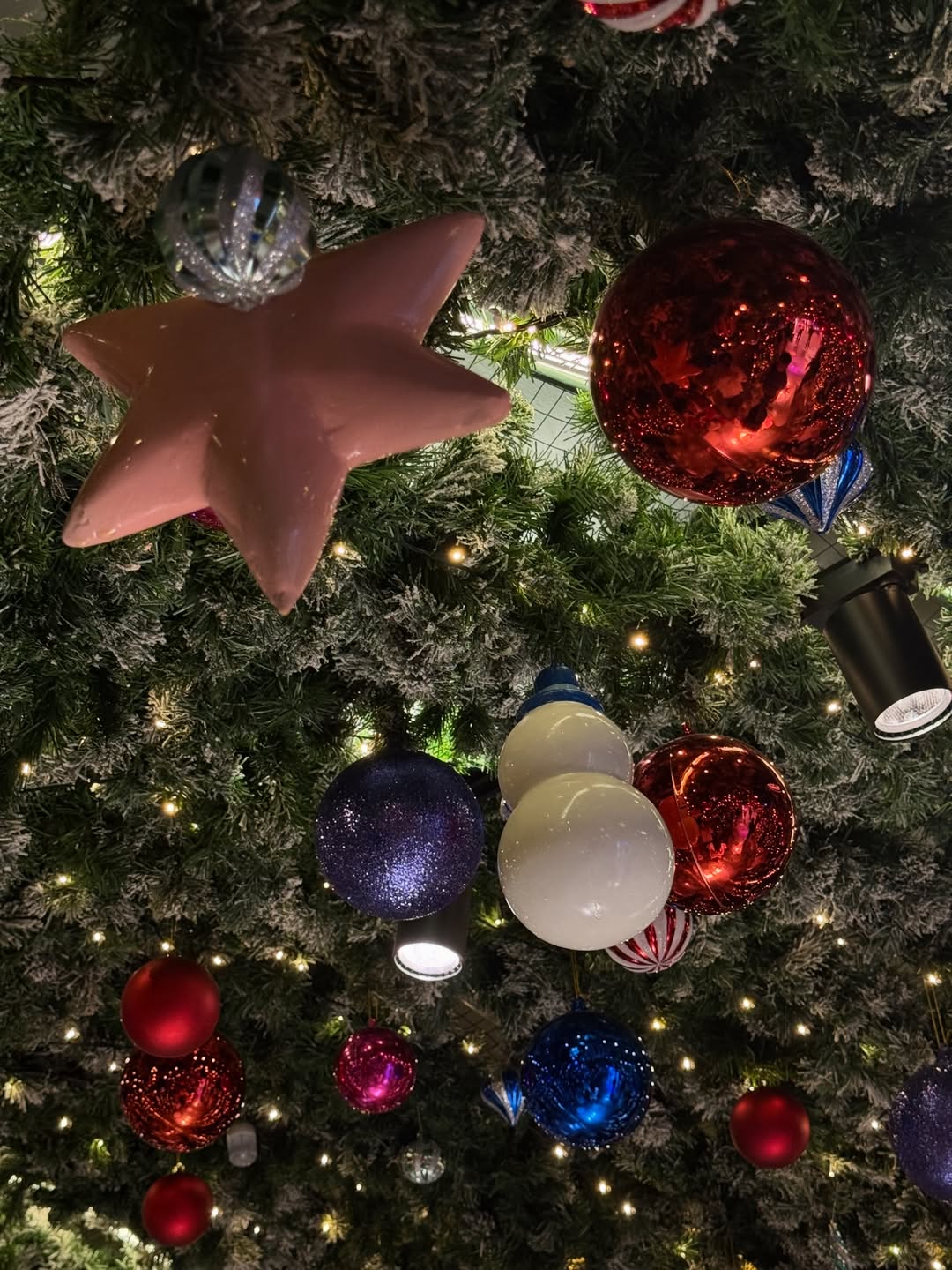 เทอร์โบ - ชนกชนม์ บุญมานะวงศ์