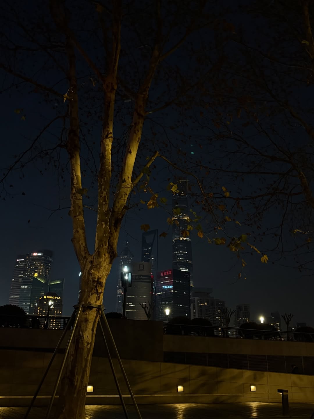 เทอร์โบ - ชนกชนม์ บุญมานะวงศ์