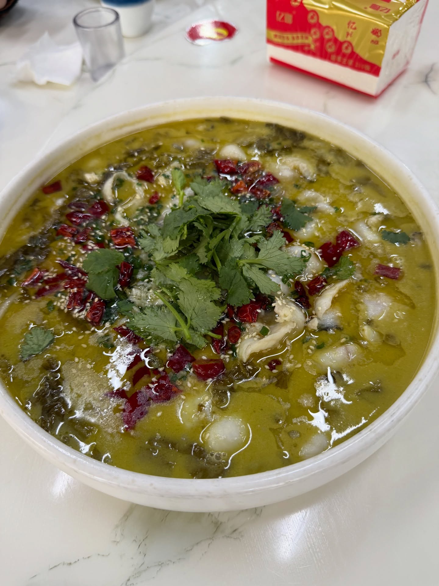 เทอร์โบ - ชนกชนม์ บุญมานะวงศ์