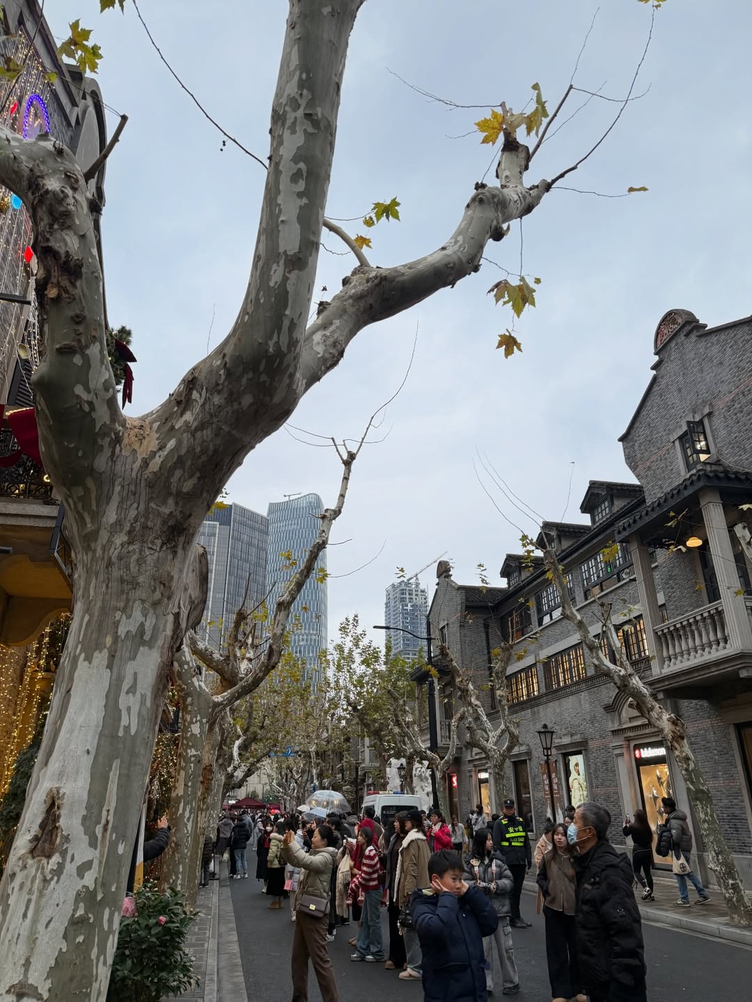 เทอร์โบ - ชนกชนม์ บุญมานะวงศ์