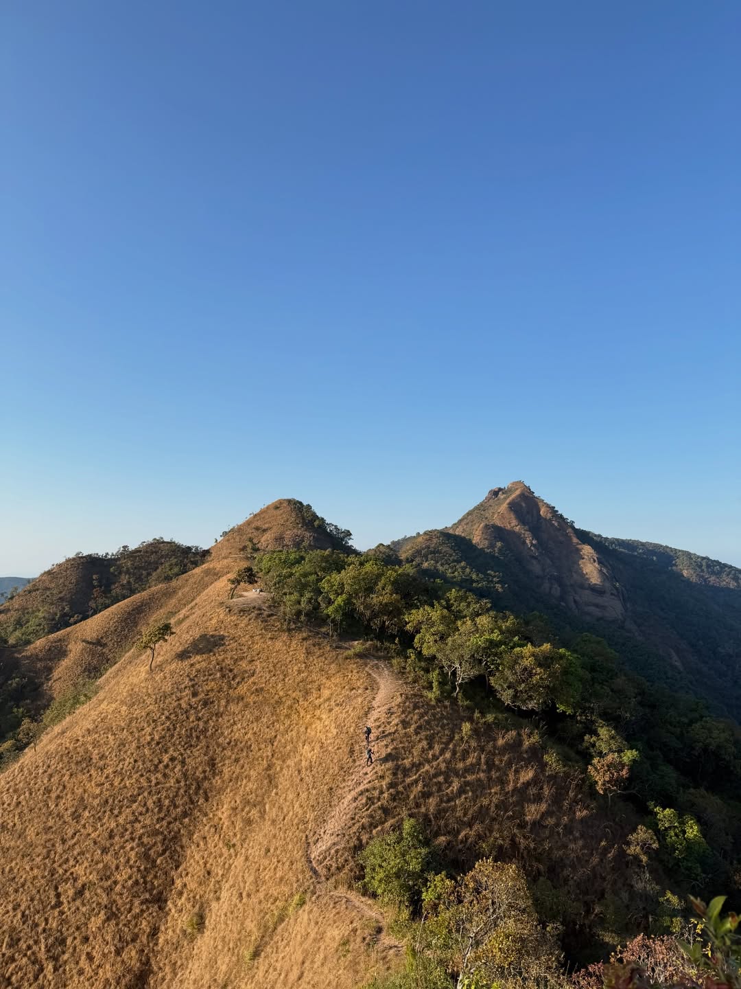 เทอร์โบ - ชนกชนม์ บุญมานะวงศ์