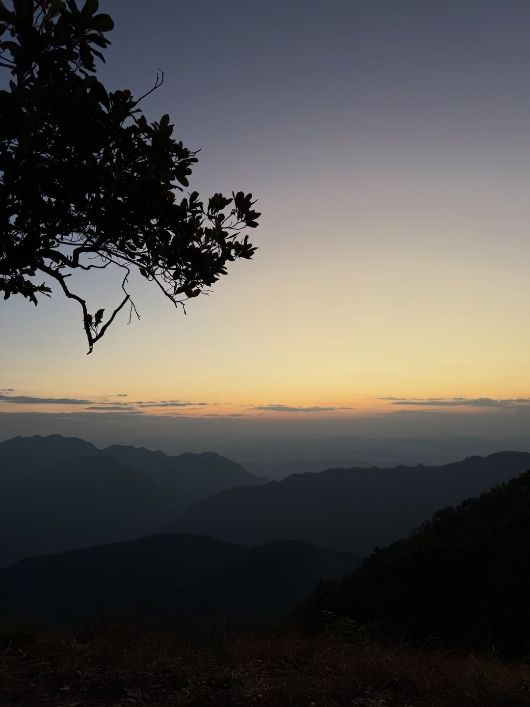 เทอร์โบ - ชนกชนม์ บุญมานะวงศ์