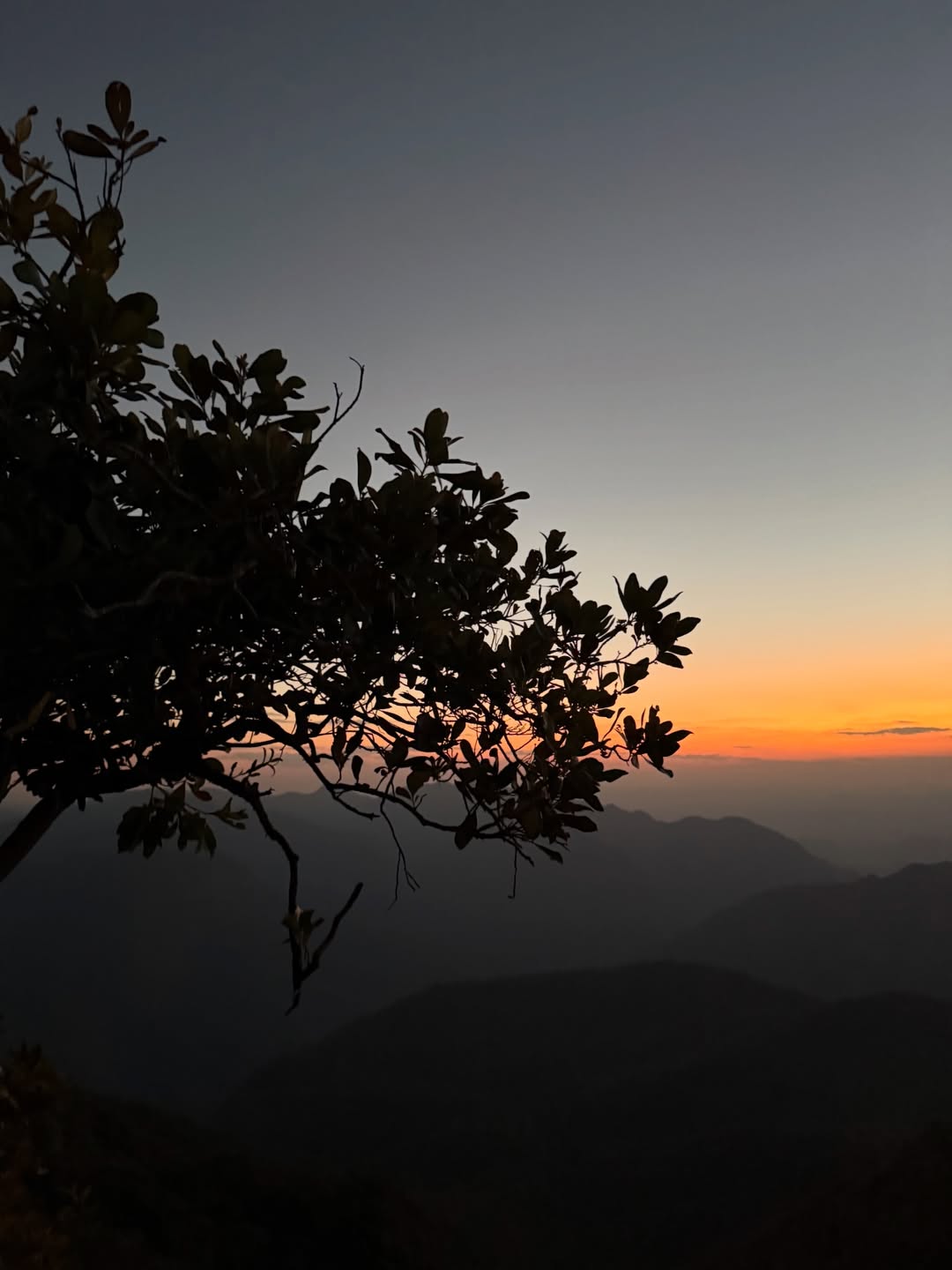 เทอร์โบ - ชนกชนม์ บุญมานะวงศ์