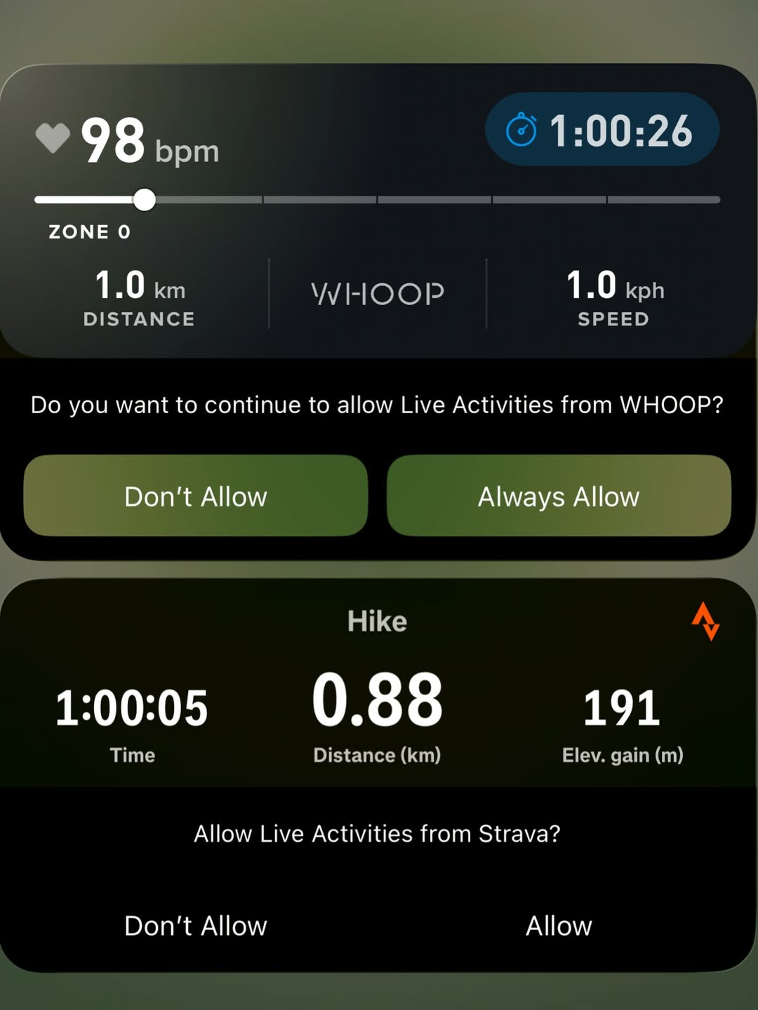 เทอร์โบ - ชนกชนม์ บุญมานะวงศ์