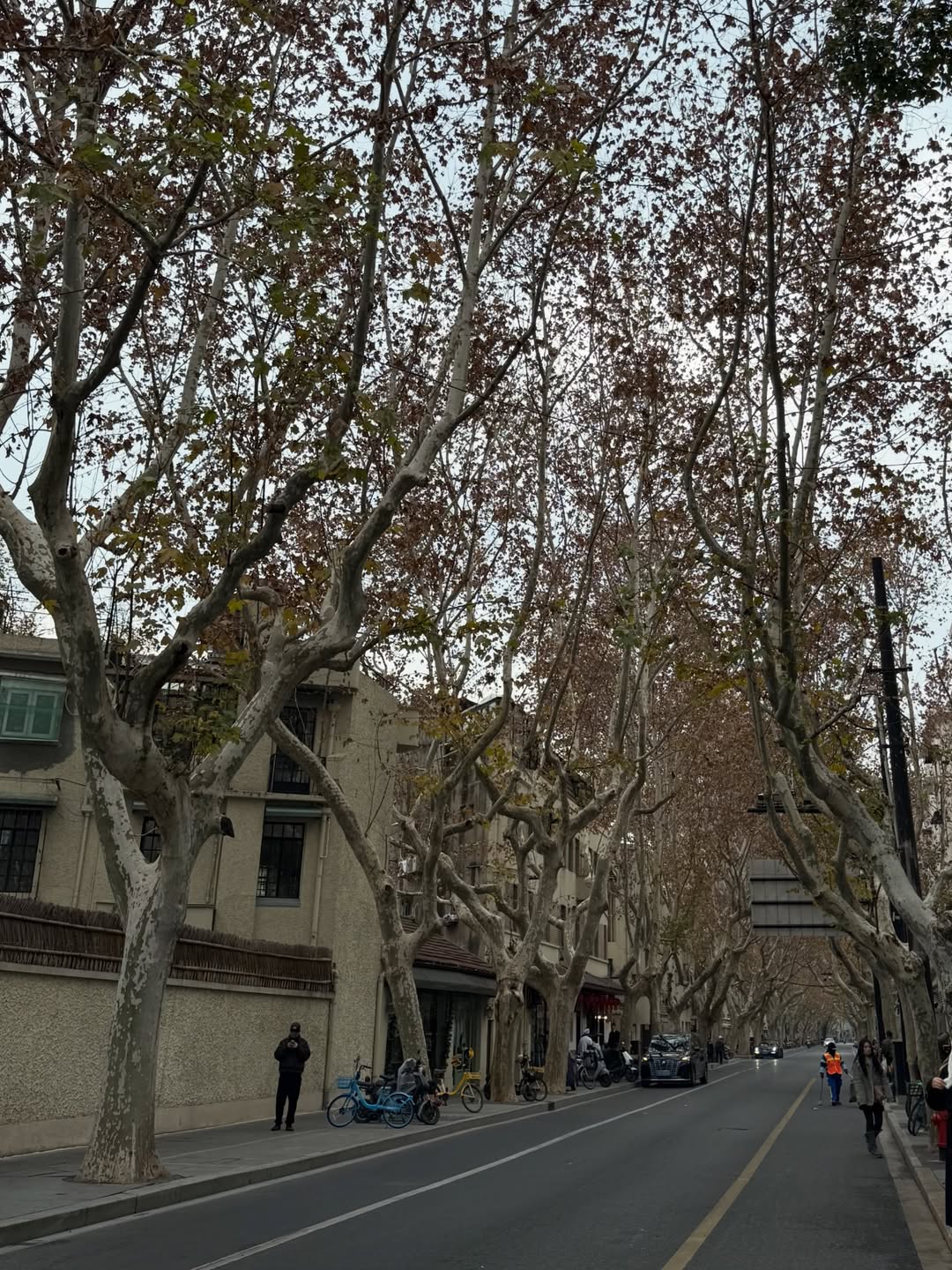 เทอร์โบ - ชนกชนม์ บุญมานะวงศ์