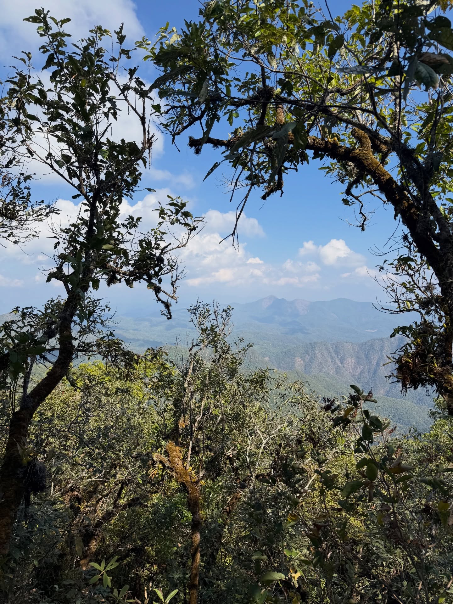 เทอร์โบ - ชนกชนม์ บุญมานะวงศ์