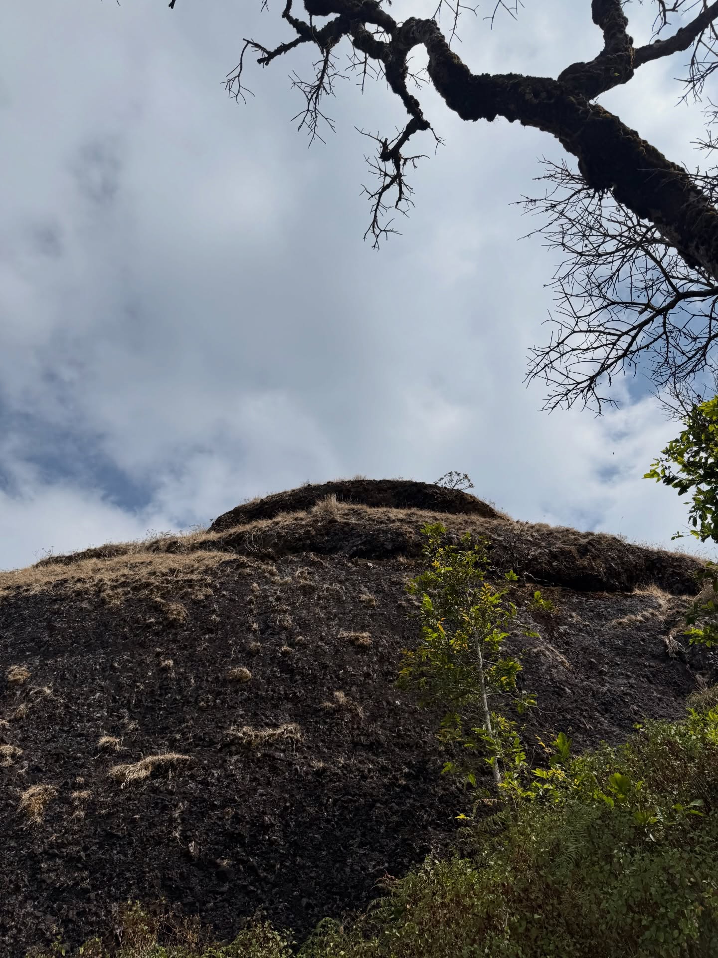 เทอร์โบ - ชนกชนม์ บุญมานะวงศ์