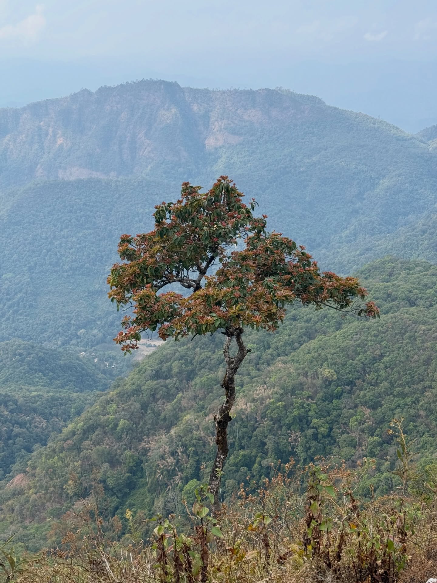 เทอร์โบ - ชนกชนม์ บุญมานะวงศ์