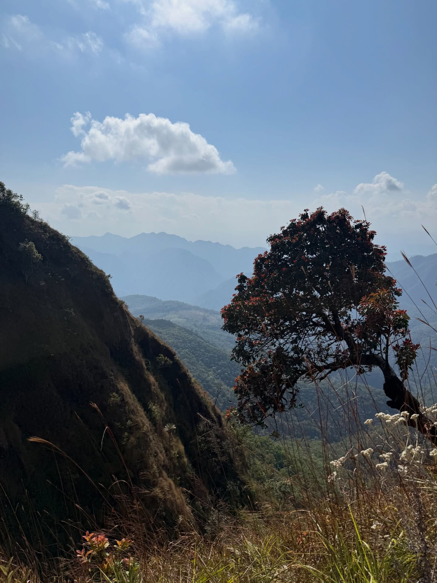 เทอร์โบ - ชนกชนม์ บุญมานะวงศ์