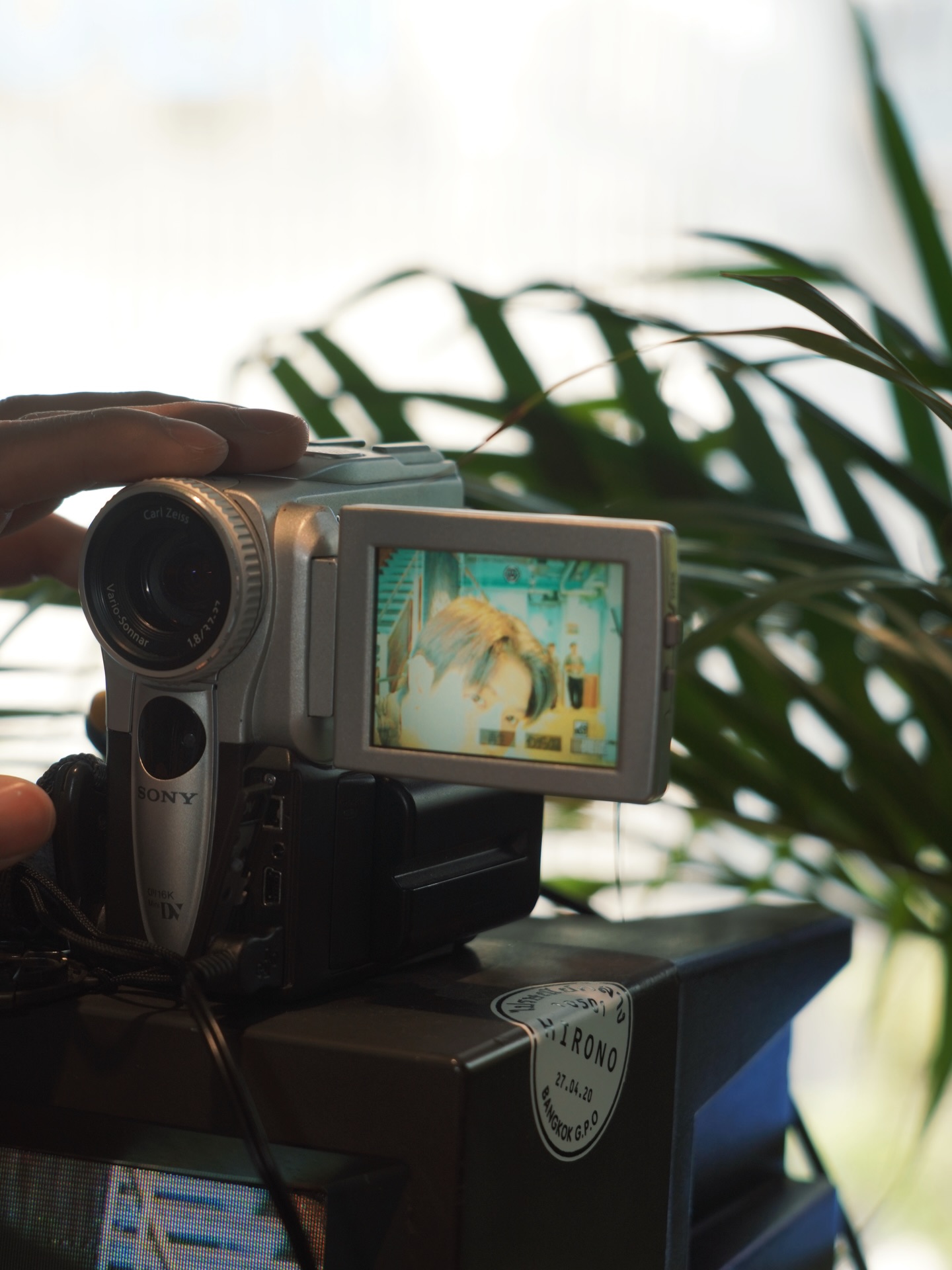 เทอร์โบ - ชนกชนม์ บุญมานะวงศ์