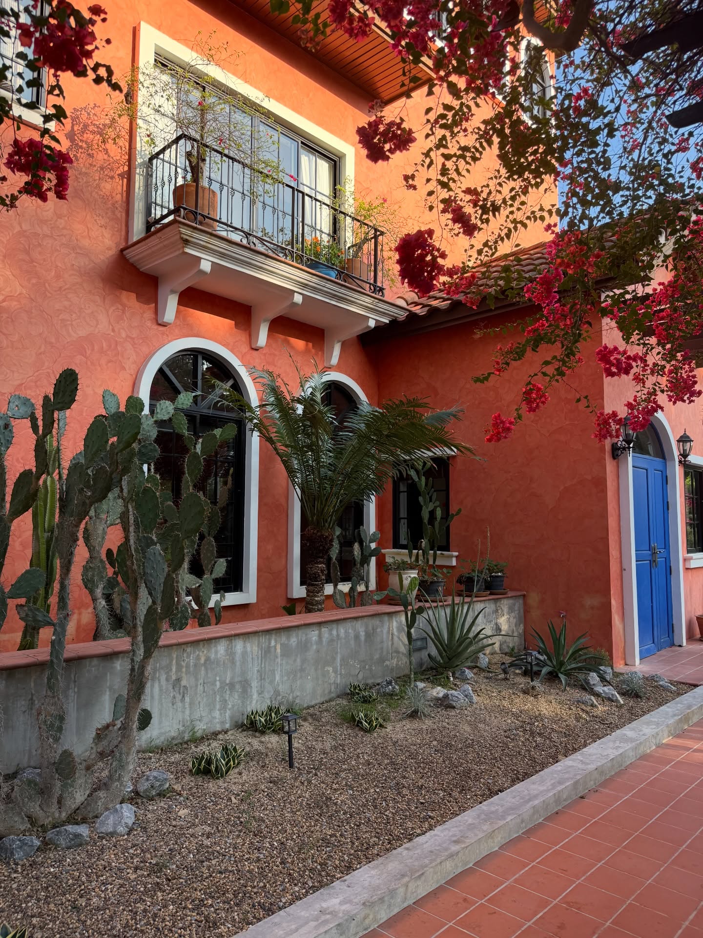 เทอร์โบ - ชนกชนม์ บุญมานะวงศ์