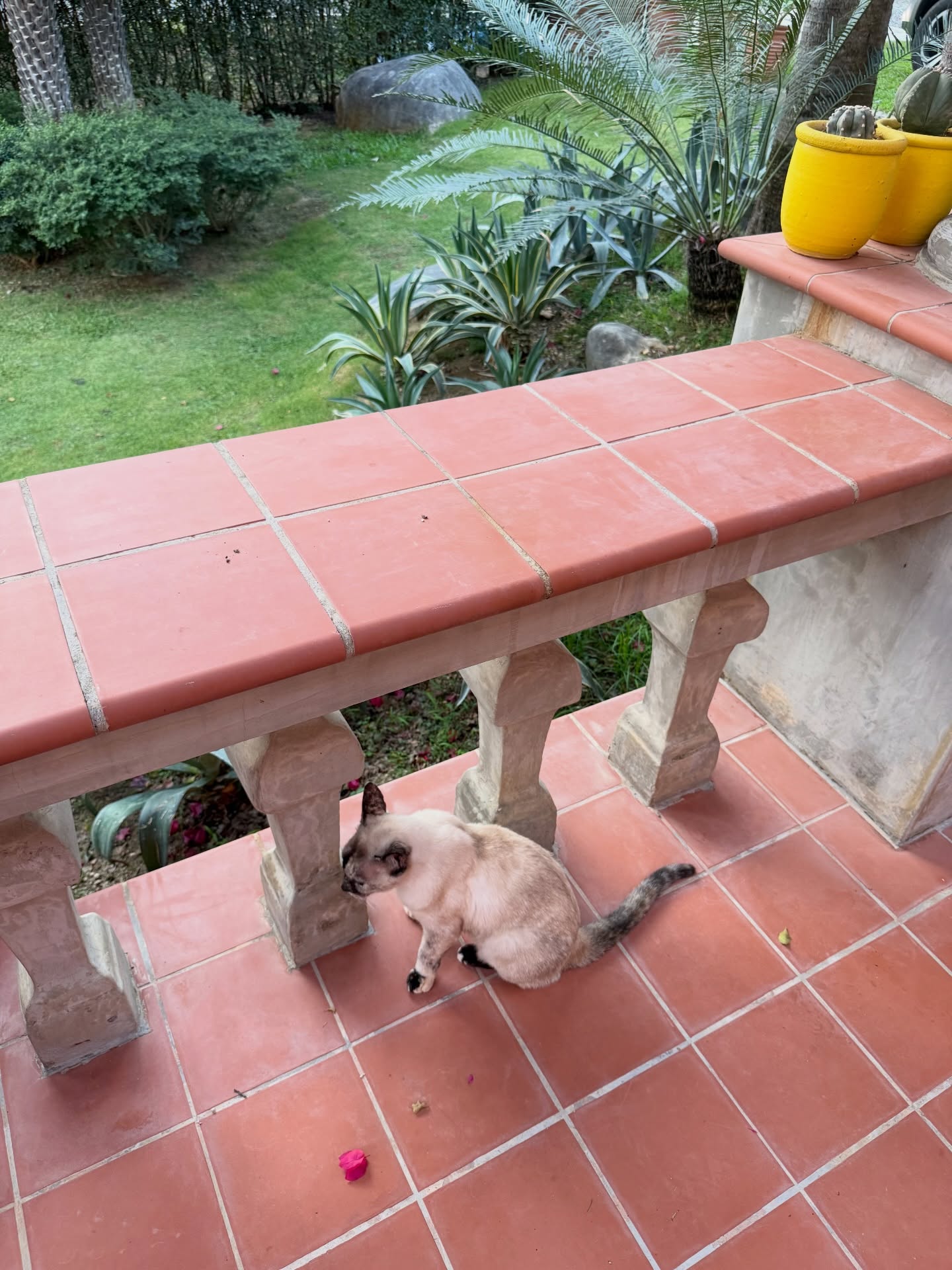 เทอร์โบ - ชนกชนม์ บุญมานะวงศ์