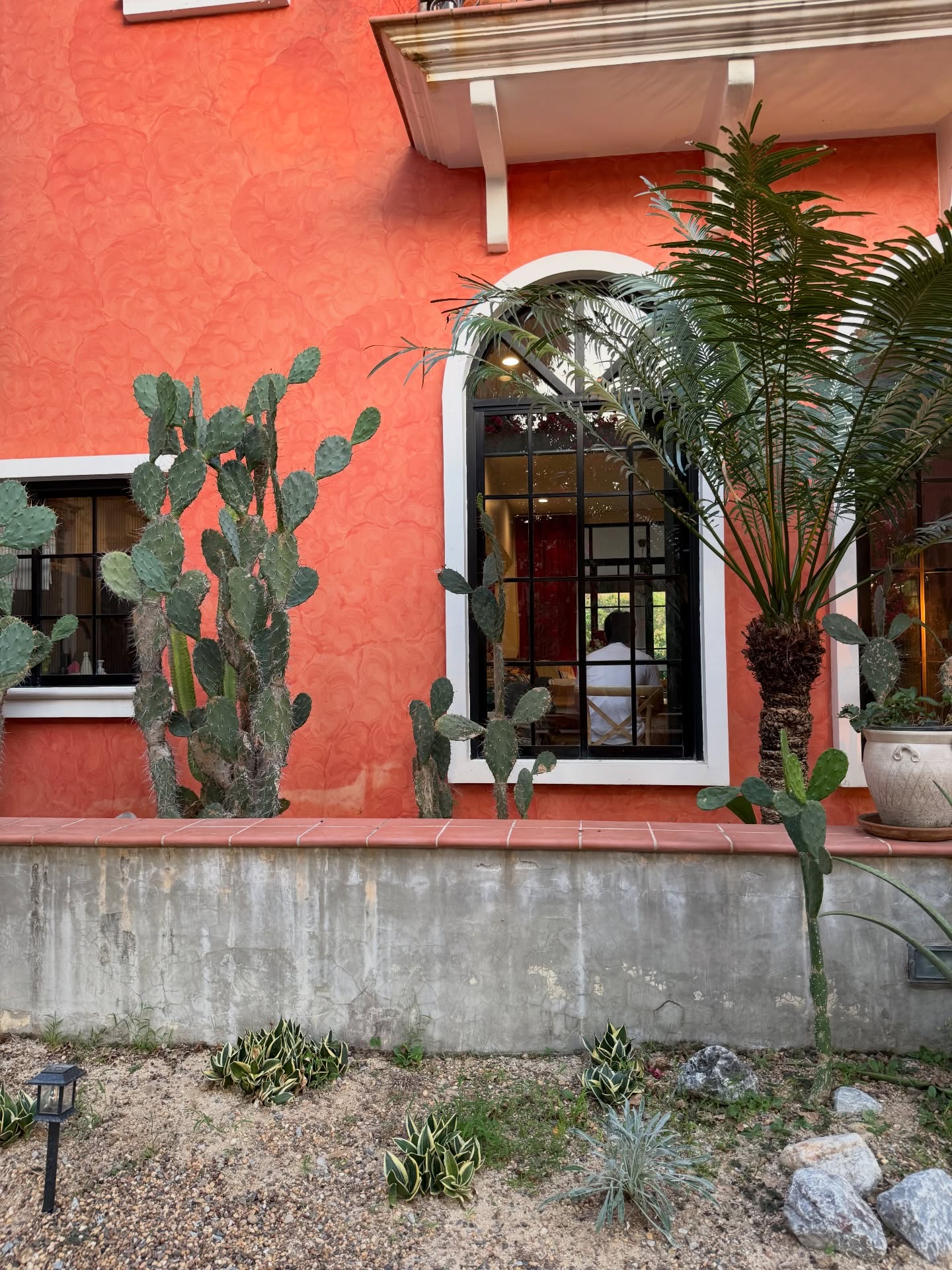 เทอร์โบ - ชนกชนม์ บุญมานะวงศ์