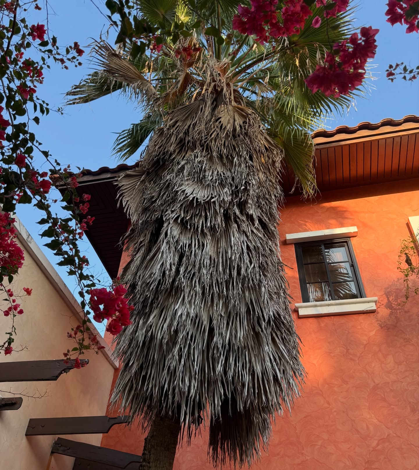 เทอร์โบ - ชนกชนม์ บุญมานะวงศ์