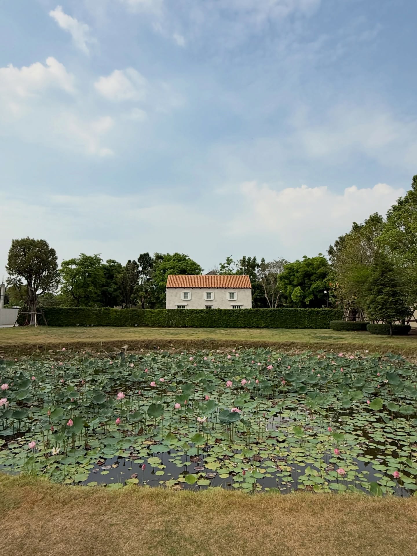 เทอร์โบ - ชนกชนม์ บุญมานะวงศ์