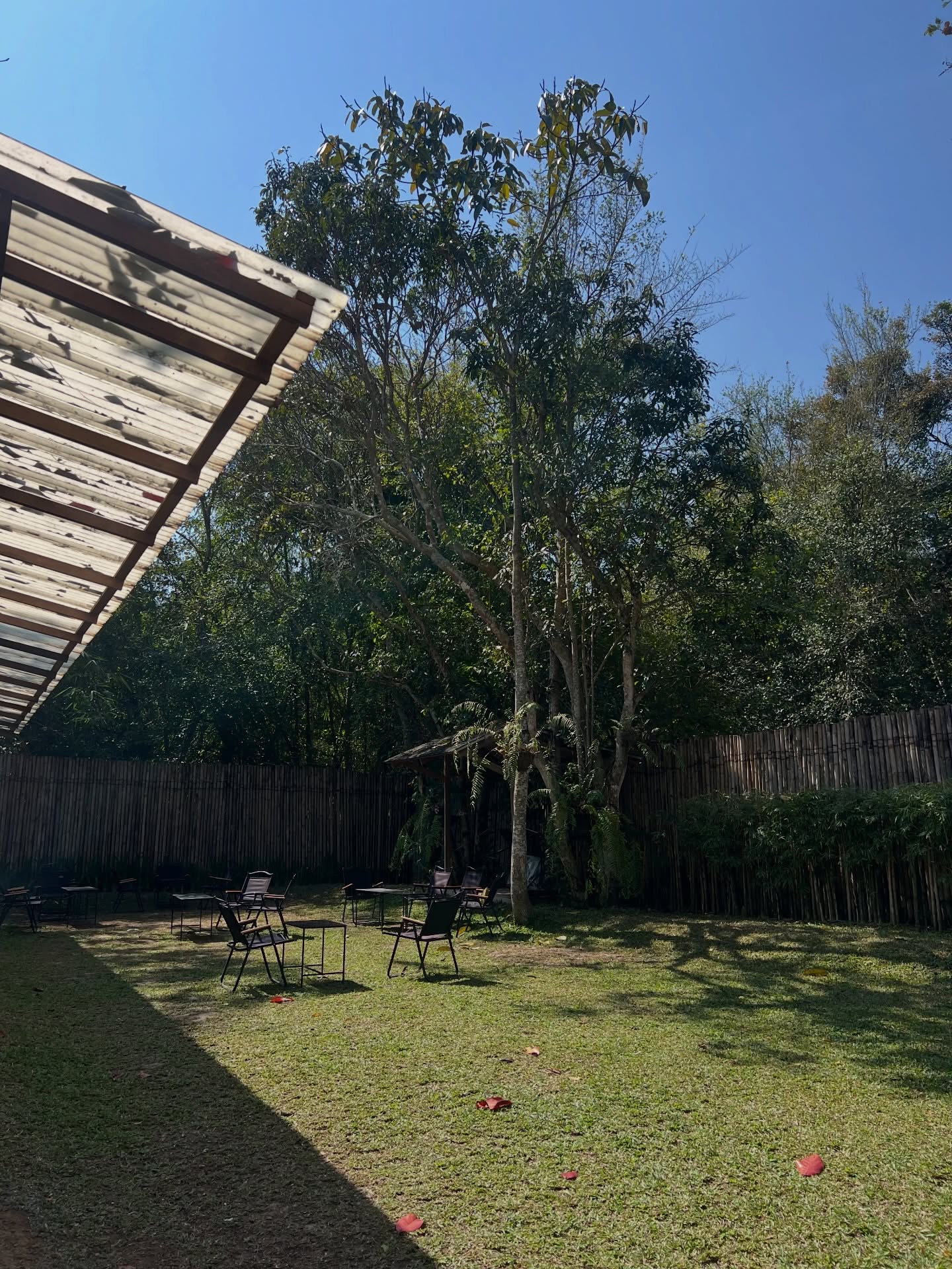 เทอร์โบ - ชนกชนม์ บุญมานะวงศ์