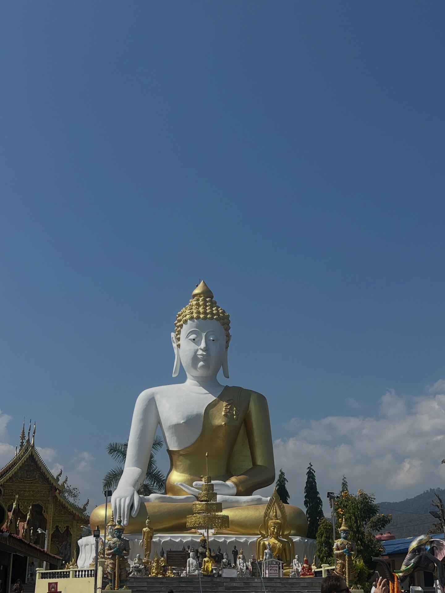 เทอร์โบ - ชนกชนม์ บุญมานะวงศ์