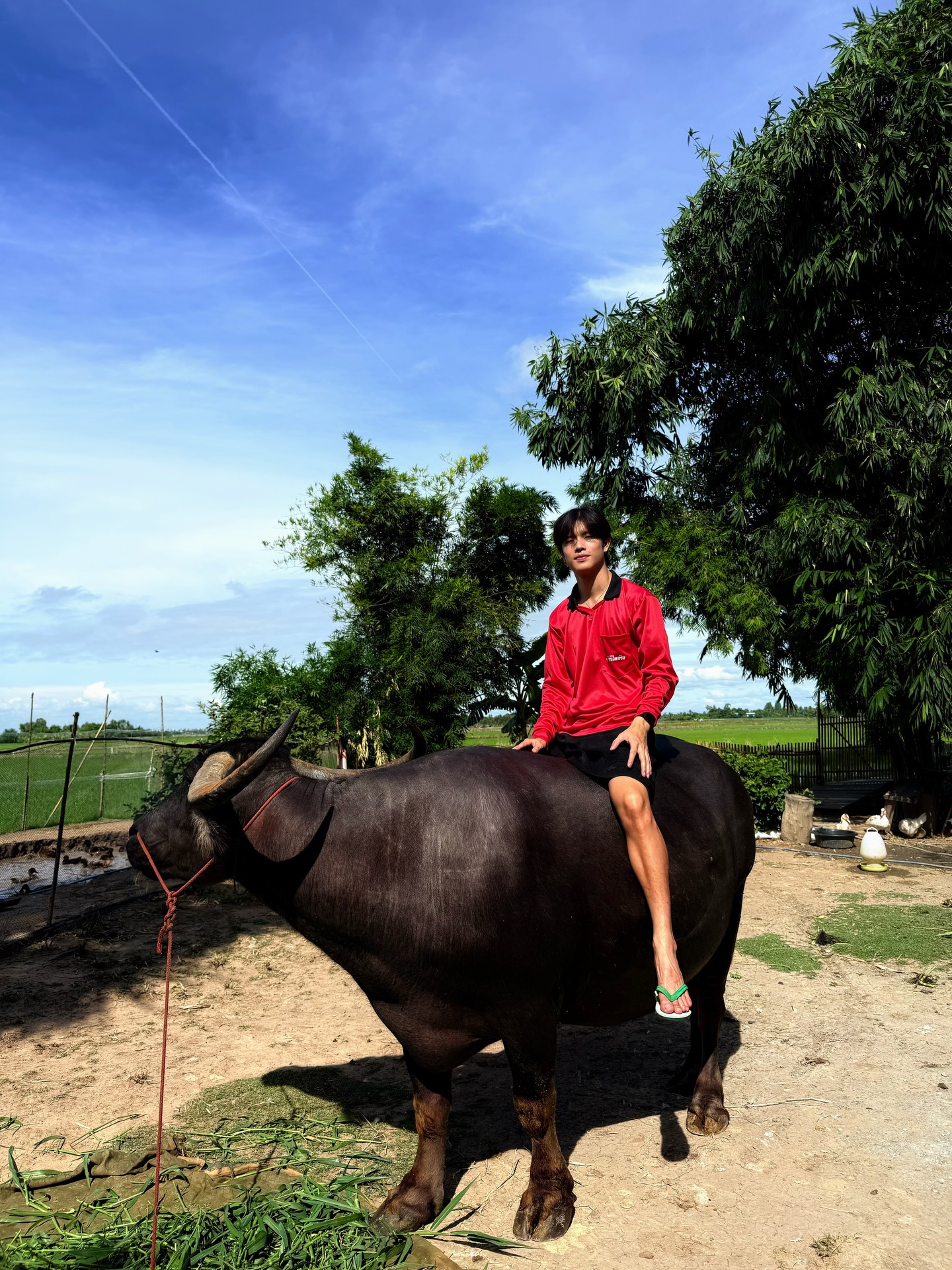 เทอร์โบ - ชนกชนม์ บุญมานะวงศ์