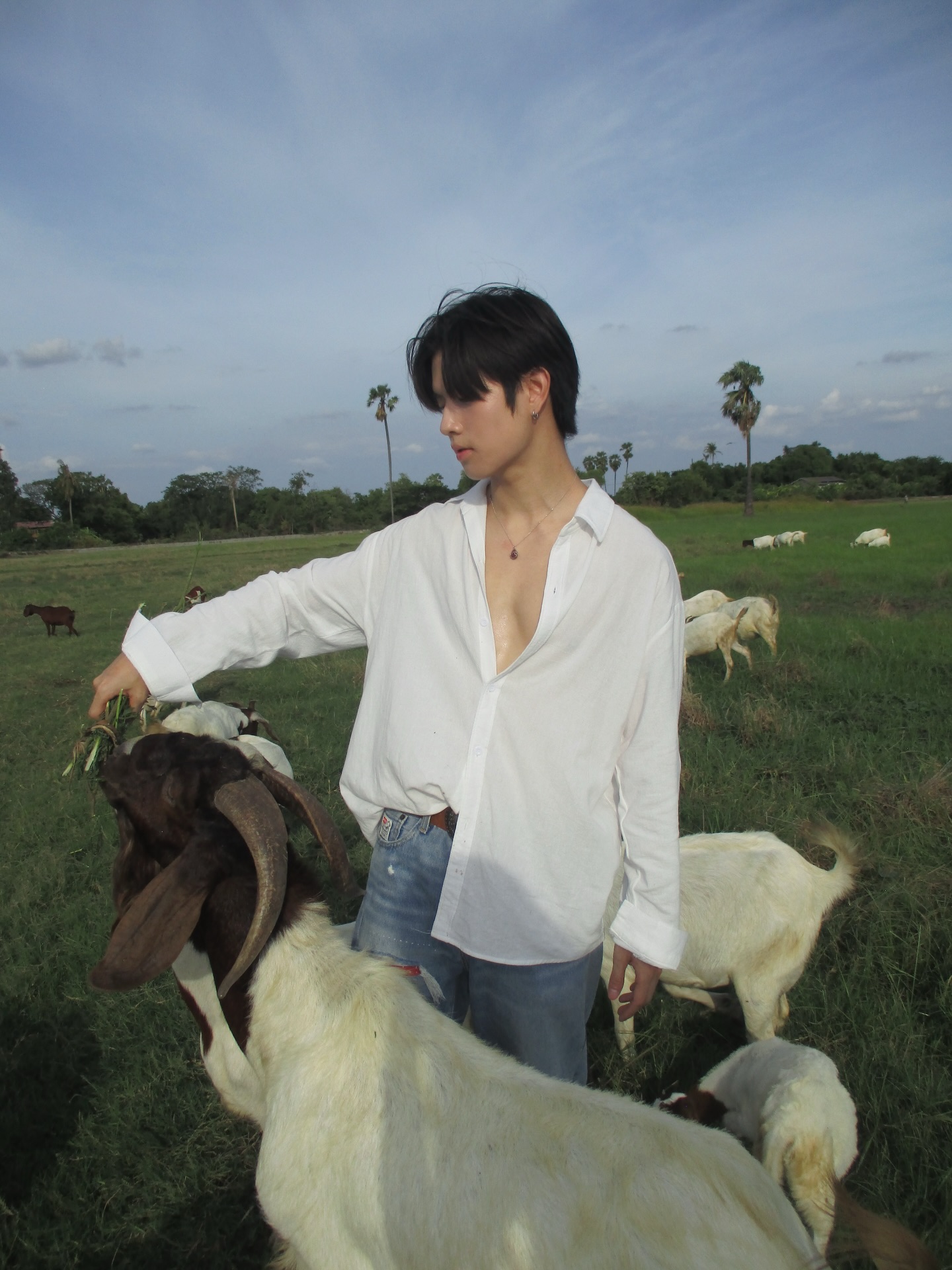 เทอร์โบ - ชนกชนม์ บุญมานะวงศ์