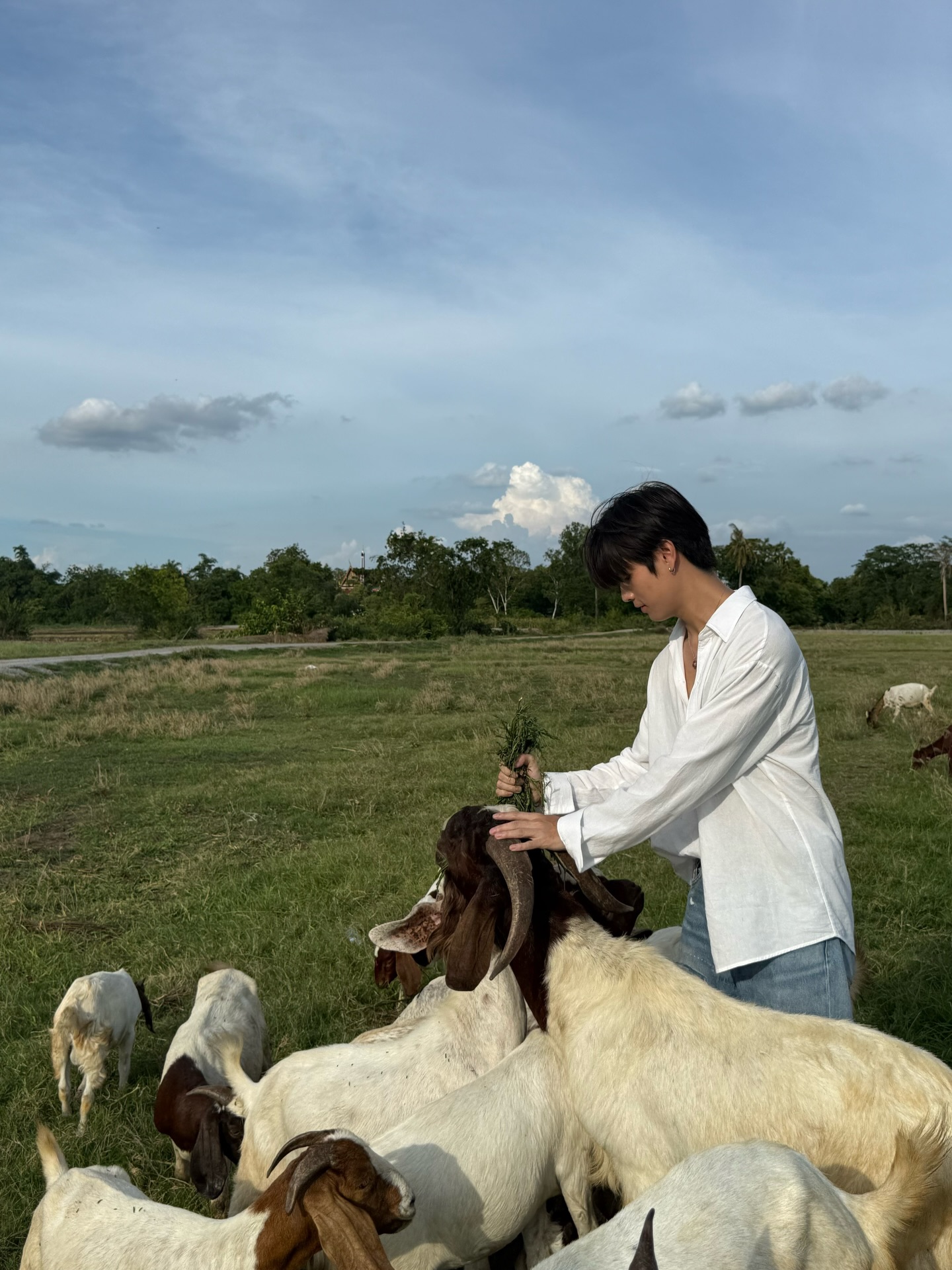 เทอร์โบ - ชนกชนม์ บุญมานะวงศ์