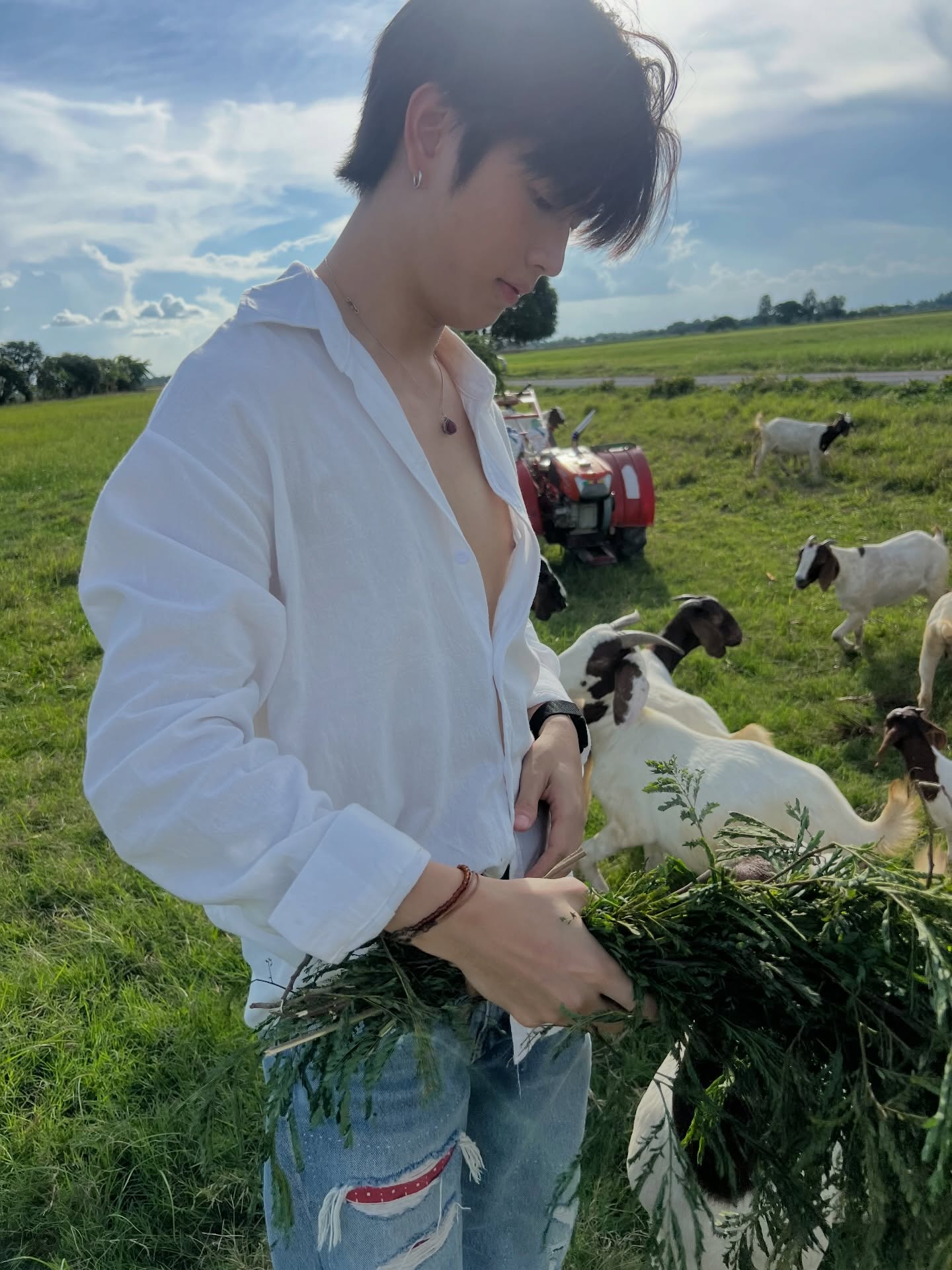 เทอร์โบ - ชนกชนม์ บุญมานะวงศ์