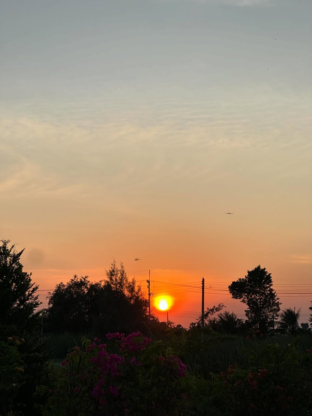 อิงฟ้า วราหะ