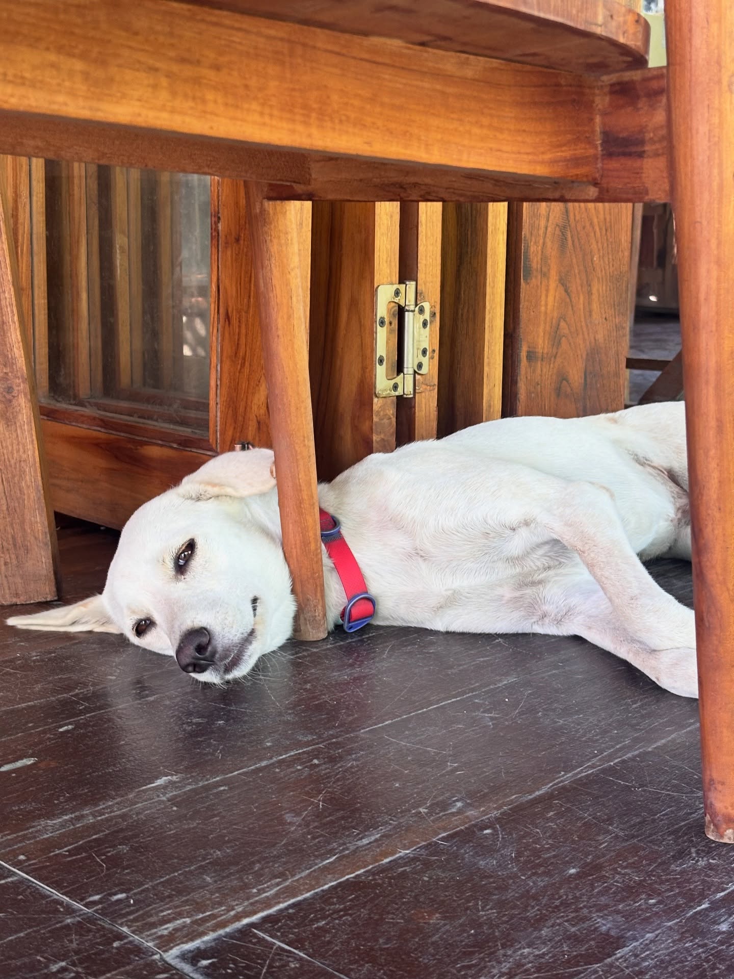 โดนัท - ภัทรพลฒ์ เดชพงษ์วรานนท์