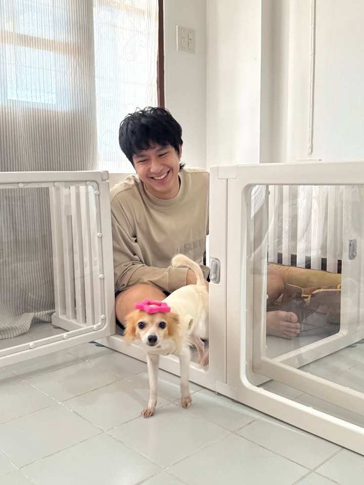 โดนัท - ภัทรพลฒ์ เดชพงษ์วรานนท์