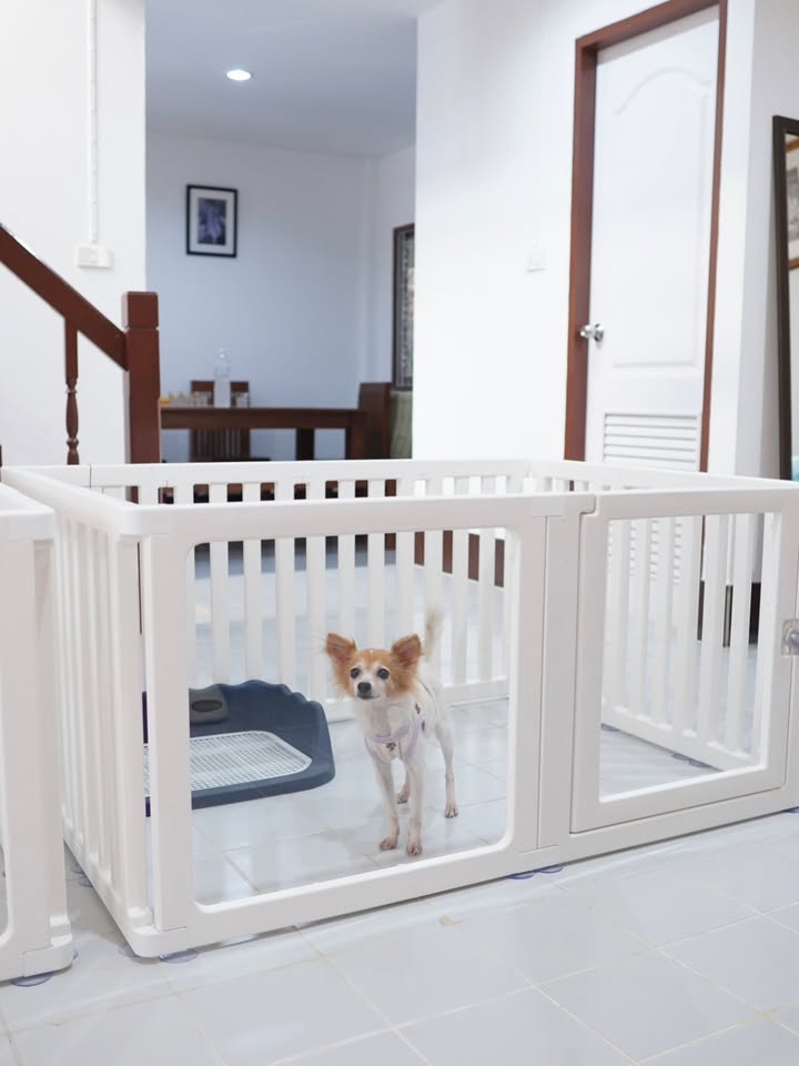 โดนัท - ภัทรพลฒ์ เดชพงษ์วรานนท์