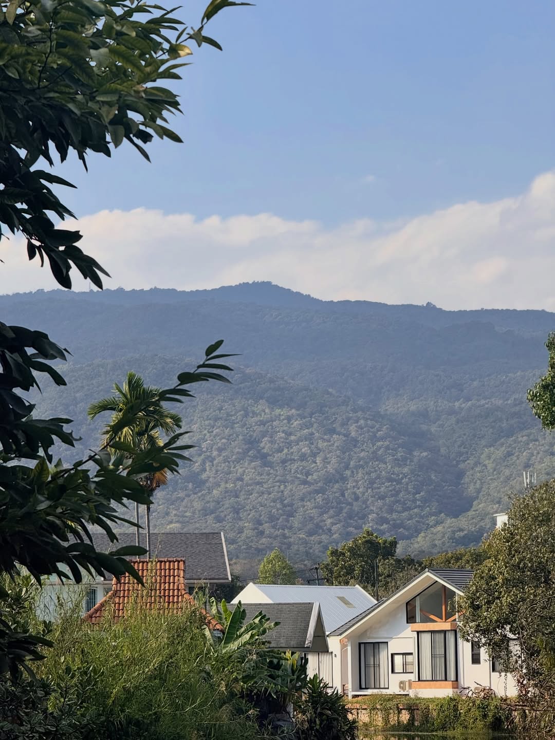 โดนัท - ภัทรพลฒ์ เดชพงษ์วรานนท์