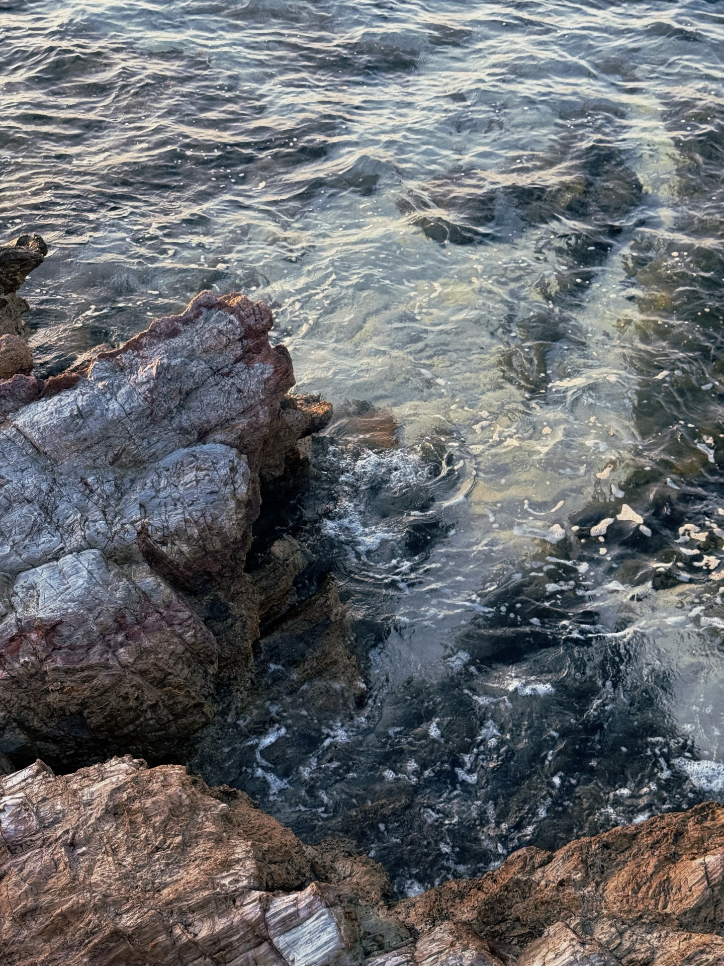 โดนัท - ภัทรพลฒ์ เดชพงษ์วรานนท์