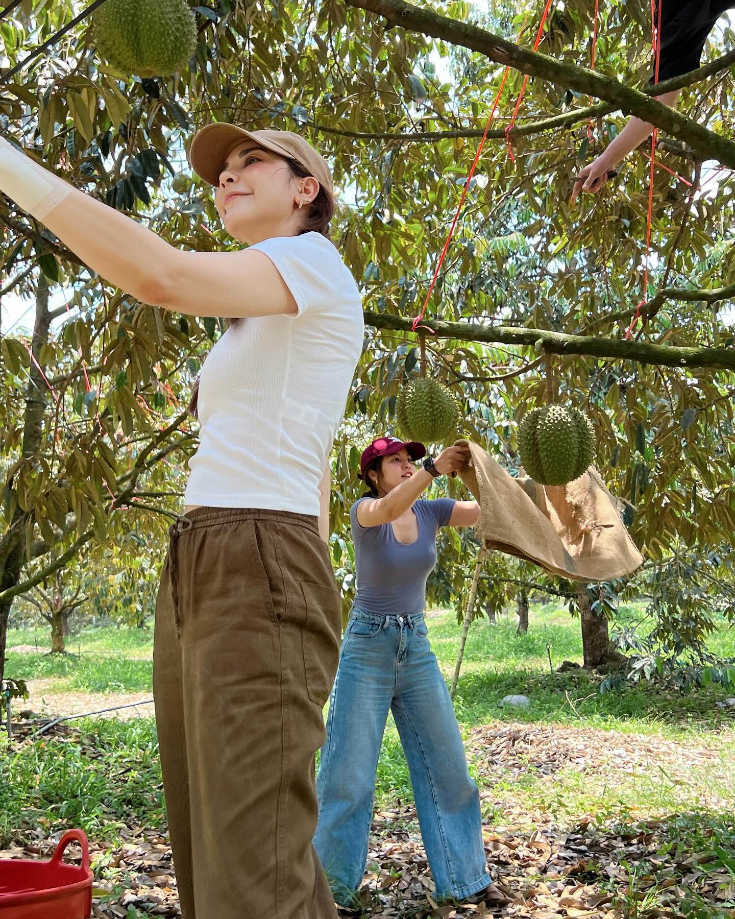 โบว์ - เบญจวรรณ อาร์ตเนอร์