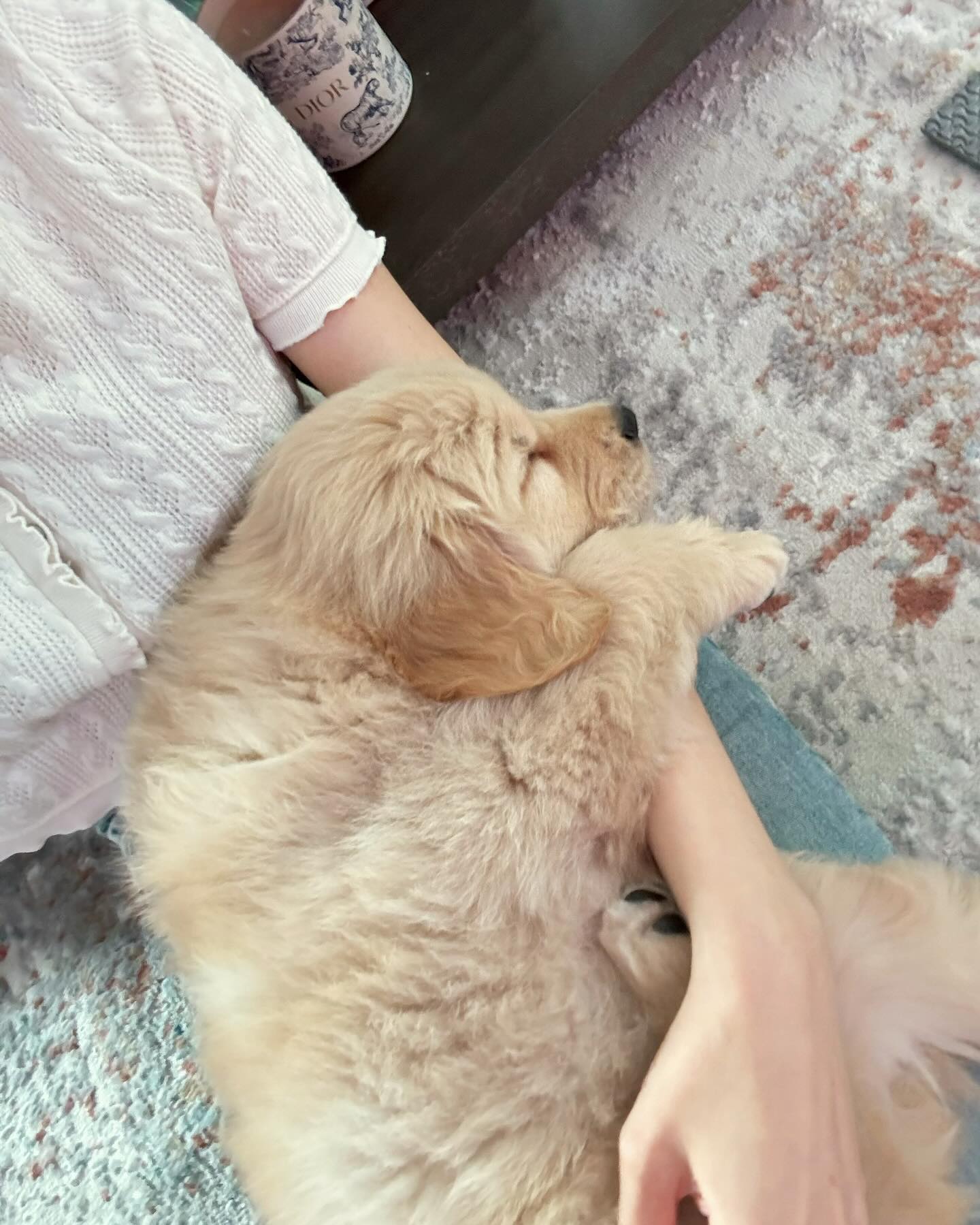 โบว์ - เบญจวรรณ อาร์ตเนอร์