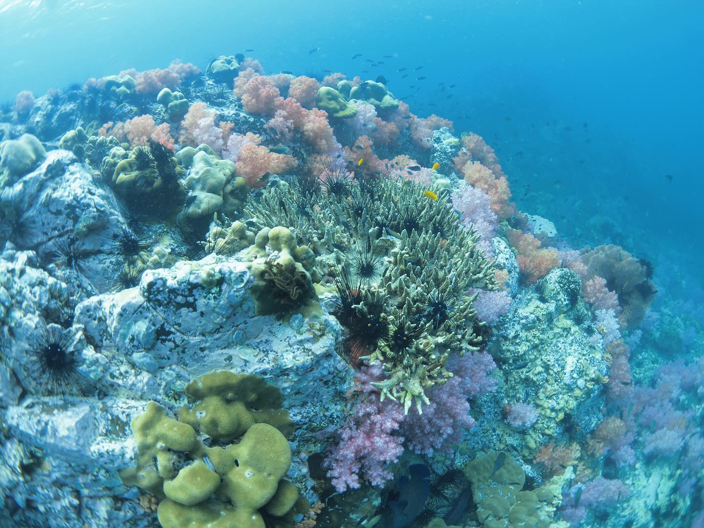 โบว์ - เบญจวรรณ อาร์ตเนอร์