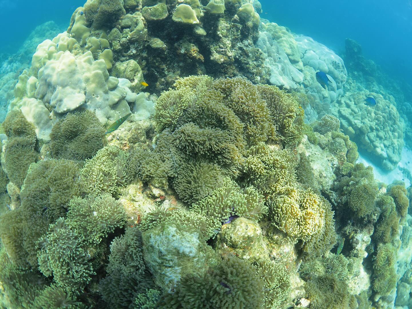 โบว์ - เบญจวรรณ อาร์ตเนอร์