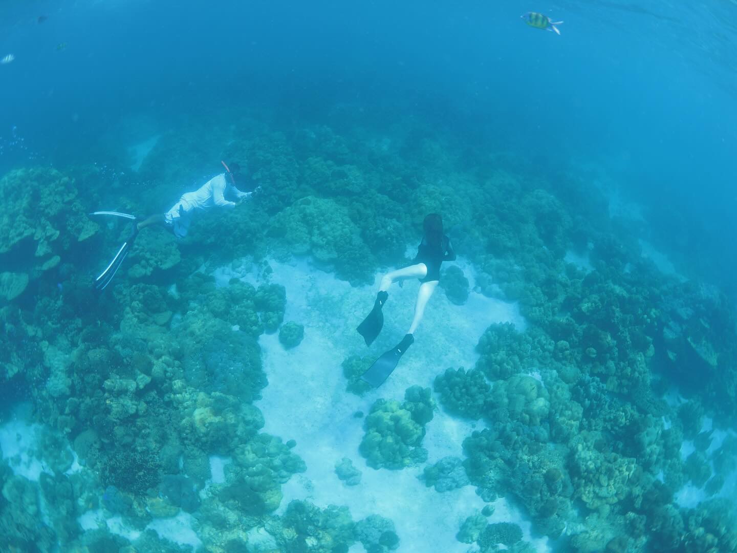 โบว์ - เบญจวรรณ อาร์ตเนอร์