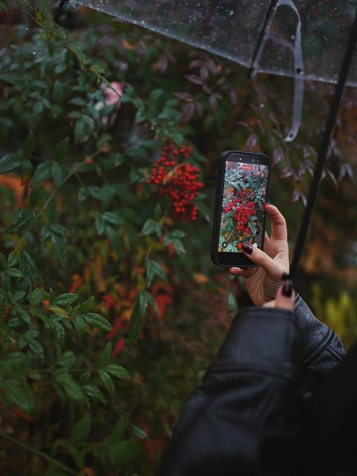 โบว์ - เบญจวรรณ อาร์ตเนอร์