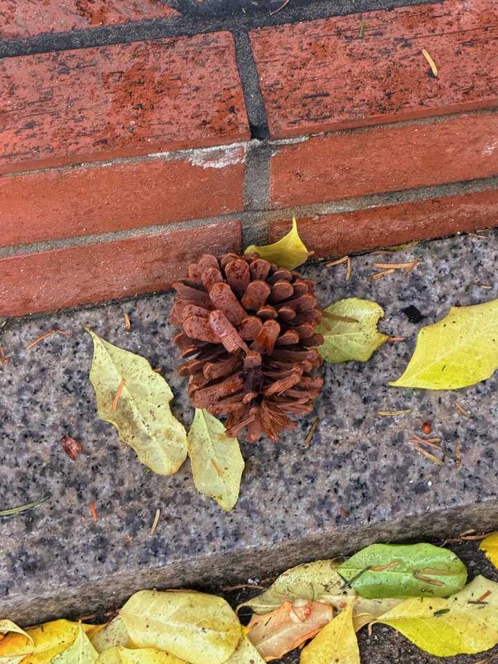 โบว์ - เบญจวรรณ อาร์ตเนอร์