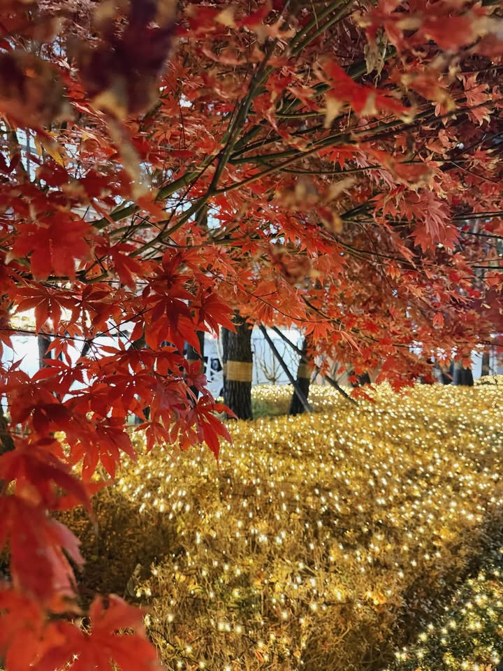 โบว์ - เบญจวรรณ อาร์ตเนอร์