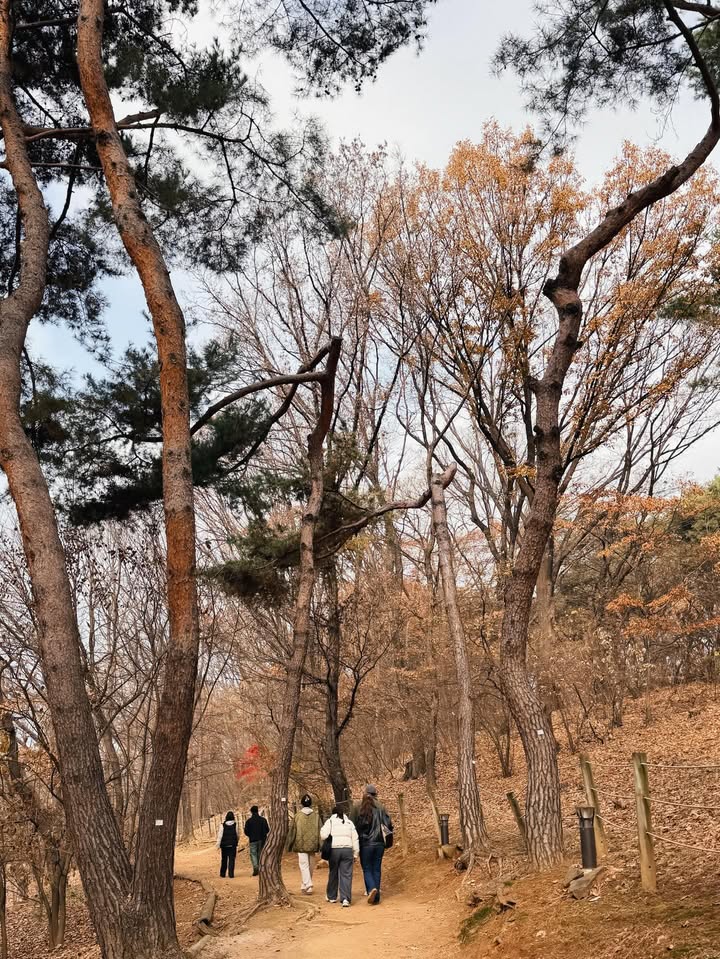 โบว์ - เบญจวรรณ อาร์ตเนอร์